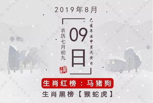 8月9日生的兔宝宝，这个月运势如何？