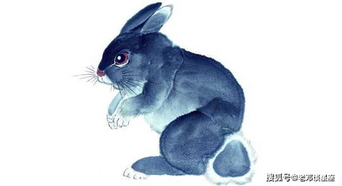 属兔女性75年出生，2026年每月运势中，最强招财物件是什么？