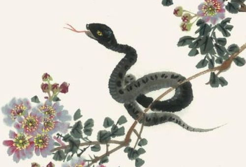 2026年每月运势如何影响01年出生属蛇男性？2025年每月运势有何变化？