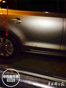 A1驾照的基本门槛：不只是年龄和证书