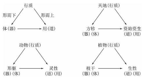 运用技巧详述
