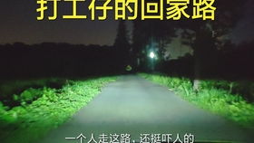 四、 细小明的失踪事件与未解之谜