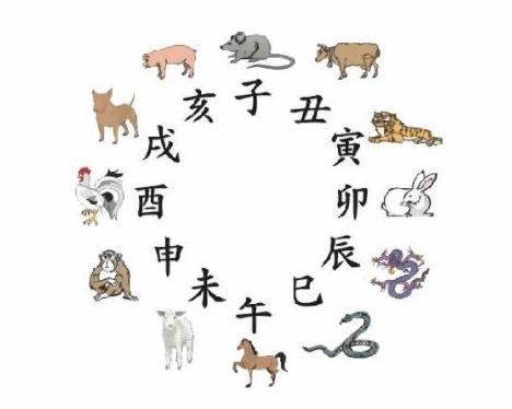 具体属相的调适措施