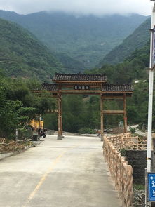 自驾or拼车？交通运输投入成本背后的博弈