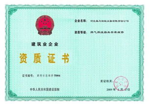 案例探究：从创业公司到较大型企业——一次典型挂靠路径示例