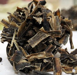 1. 清热息风与定惊止痉的内在机理