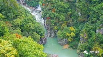 餐饮价格贵到离谱