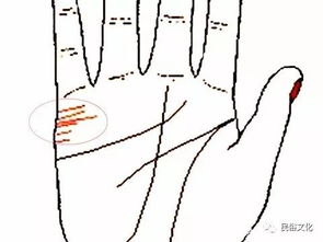 男生手相看姻缘，哪种手相表示婚姻状况良好？