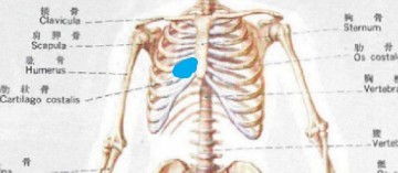 右胳膊疼与风水之间是否存在关联？