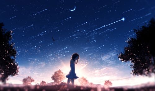 星座特征分析