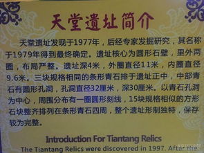 学生优惠政策解析：半价票背后藏着哪些陷阱？