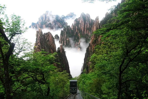 游客血泪史大合集