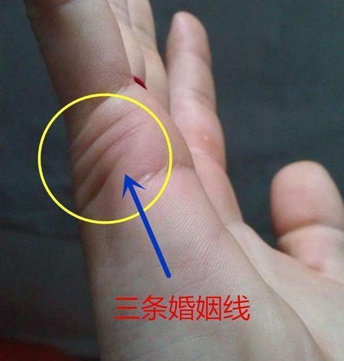 手相中事业线是哪条线，能算命吗？