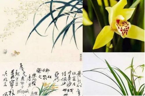 名字背后的文化底蕴意蕴与较深层含义
