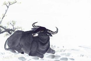 1. 属马者：豪迈与勇敢并存的应对策略