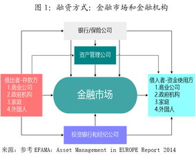 合法中介机构的运营模式与核心竞争力