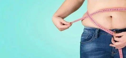 3.2 用餐时间与昼夜节律之间的耦合关系