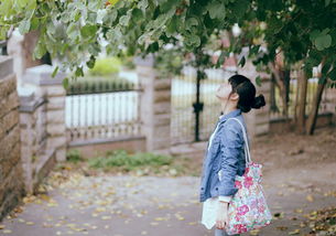 三、 典型案例解析及其多维寓意剖析