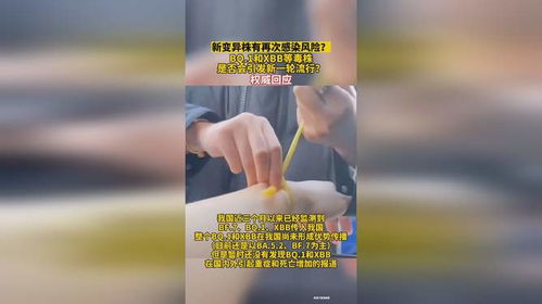 生肖鼠：强化个人防护与象征性能量的构建