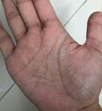 四、 生命线与健康：探寻生理状态与寿命之间的关联