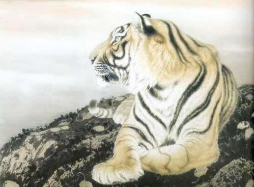 虎年结婚最佳生肖是什么？虎年三合生肖手链有何寓意？