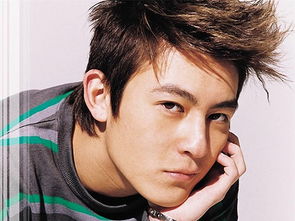 陈冠希八字中桃花星位多吗？八字桃花运势如何？