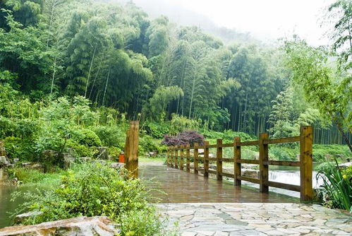 善卷洞：大自然的鬼斧神工