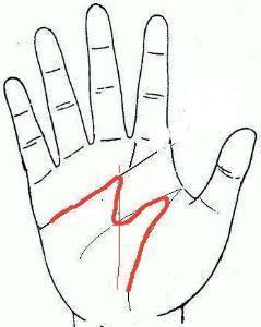 综合手相分析体系的构建与应用