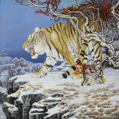 1986年属虎的人哪一年财运最为旺盛？