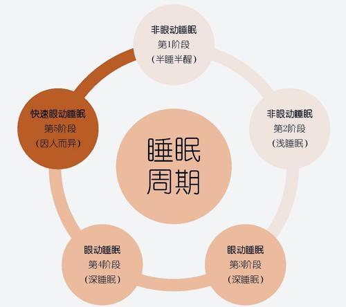 二、 生物时钟与生理平衡：古医辨证施治之道