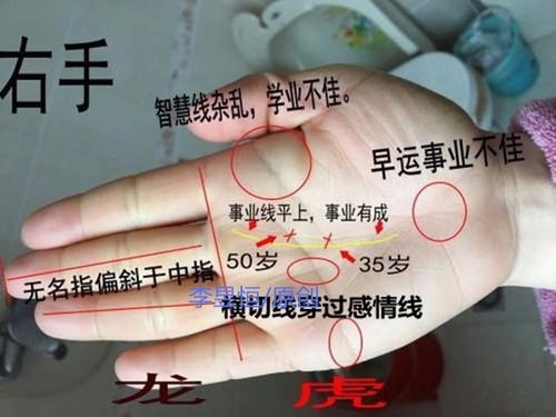 手相中结婚线管辖婚前及婚后运势吉凶
