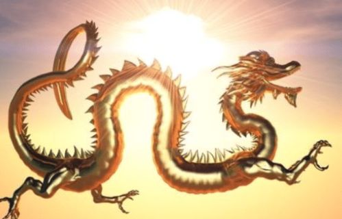 财富有流通：稳健增较长与潜在风险因素
