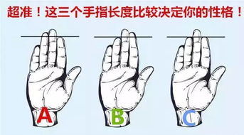 将手指四头是哪个生肖？