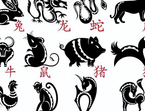 错代表什么生肖？定力打一生肖是什么生肖的意思？