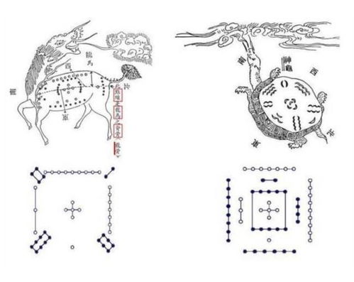 二、 地理分布与族谱保存——从河南到日本再到台湾