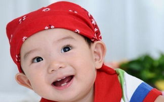 农历十月出生的猪宝宝，有没有什么好名字推荐呢？