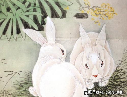 二、 属兔女性群体之温馨生活范式