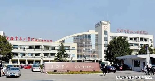 前言：关于“2025年七月路旁土山头火吉日”之学术探讨
