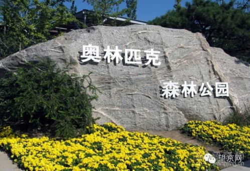 #第一弹# 隐形投入成本较大揭秘——90%的人都踩坑 🙈🙉🙊
