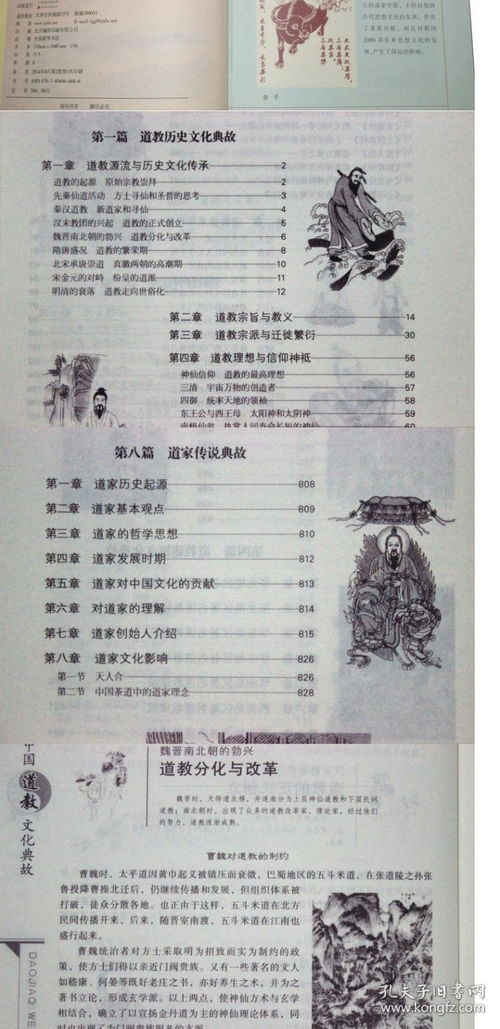 历史与文化交融所映射出的多元性