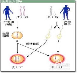 2. 阴道酸碱度调节技术的应用
