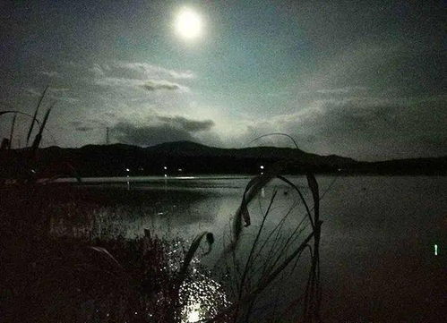一、  传说与民间认知：水鬼的宿命