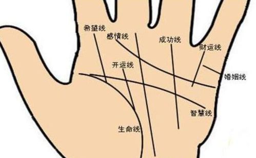 手相中六个螺四个簸箕分别代表什么含义？