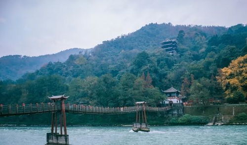 Sichuan川渝连线——辣味五日挑战赛(辣得哭)