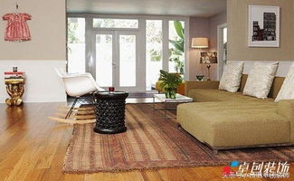 1. 光线充足与阳气提升