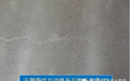 惊！院中地坪裂了条缝，2026年要倒大霉？老祖宗早说过...