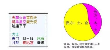 二、认知偏差与决策失误潜优良危害性评估