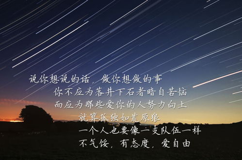 反思与觉醒：对表层实际价值观的批判性审视