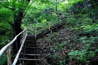 游玩攻略？不存在的！