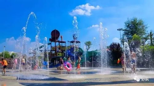 交通指南全是坑